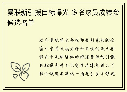 曼联新引援目标曝光 多名球员成转会候选名单